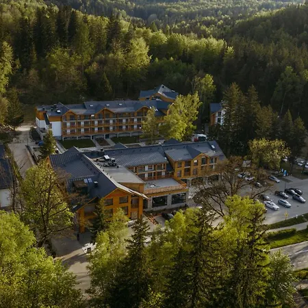 Moevenpick & カルパッチ